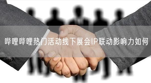 哔哩哔哩热门活动线下展会IP联动影响力如何