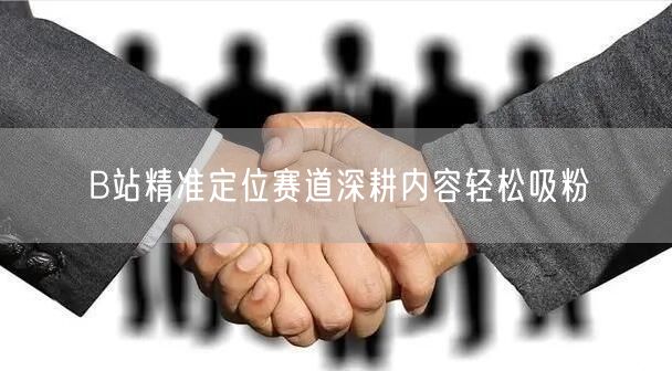 B站精准定位赛道深耕内容轻松吸粉