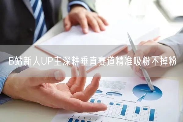 B站新人UP主深耕垂直赛道精准吸粉不掉粉