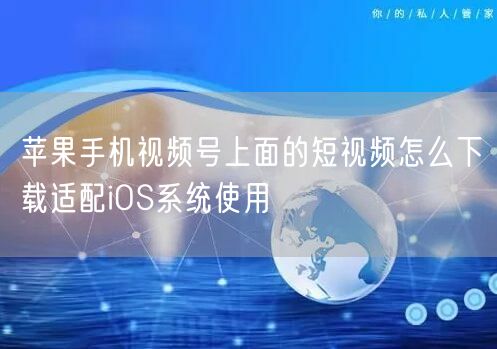 苹果手机视频号上面的短视频怎么下载适配iOS系统使用