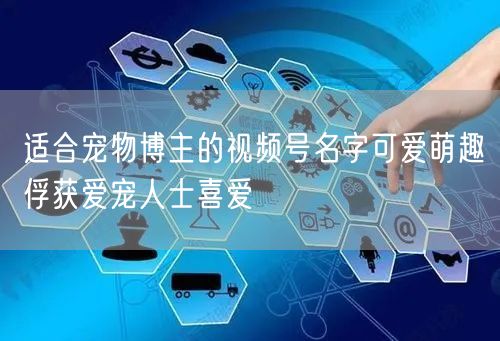 适合宠物博主的视频号名字可爱萌趣俘获爱宠人士喜爱