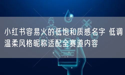 小红书容易火的低饱和质感名字 低调温柔风格昵称适配全赛道内容