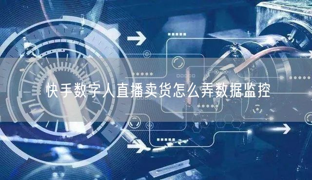 快手数字人直播卖货怎么弄数据监控