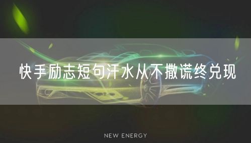 快手励志短句汗水从不撒谎终兑现