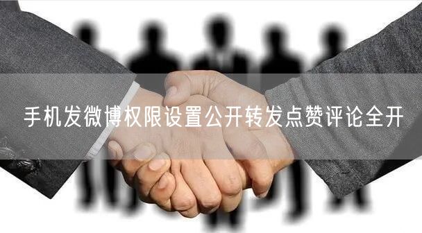 手机发微博权限设置公开转发点赞评论全开