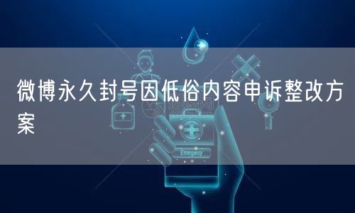 微博永久封号因低俗内容申诉整改方案